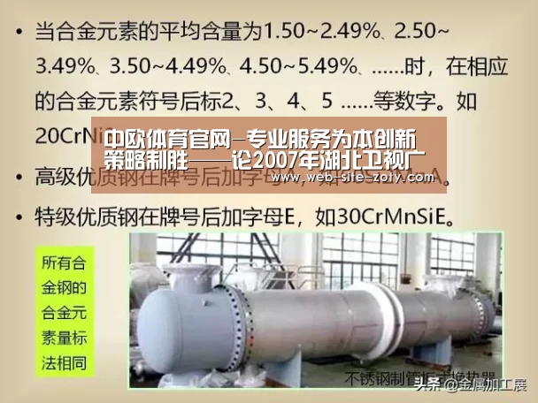 中欧体育官网-专业服务为本创新策略制胜——论2007年湖北卫视广告赢利秘诀