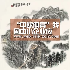 “中欧体育”我国中小企业应何去何从写在国际金融危机爆发两周年之际(图1) 中欧体育官网