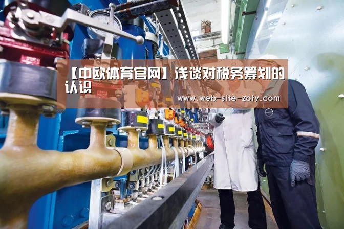 【中欧体育官网】浅谈对税务筹划的认识(图1) 中欧体育