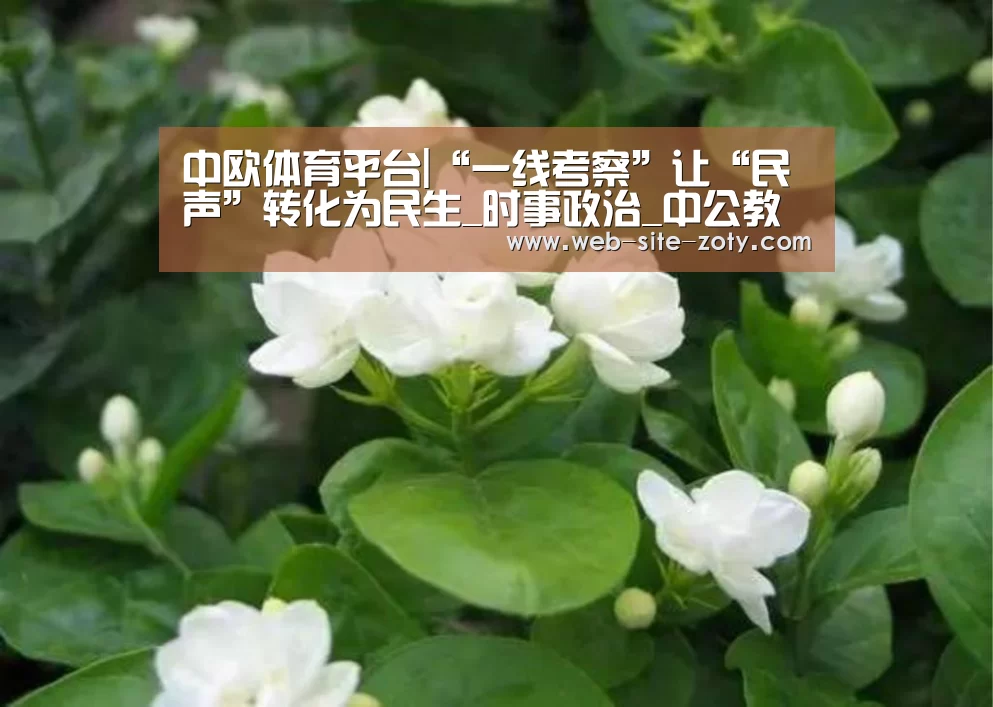 中欧体育平台|“一线考察”让“民声”转化为民生_时事政治_中公教育网(图2) zoty体育